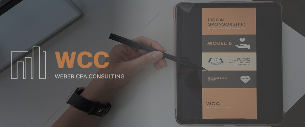 Fiscal sponsorship model B