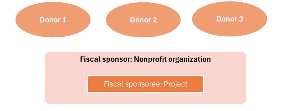 Fiscal sponsorship model A
